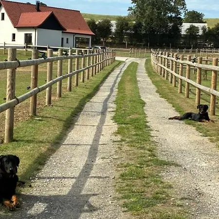 Ferienhaus Les Petites Maisons Dans La Prairie - 2 *