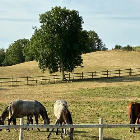 Les Petites Maisons Dans La Prairie - 2 Ferienhaus *